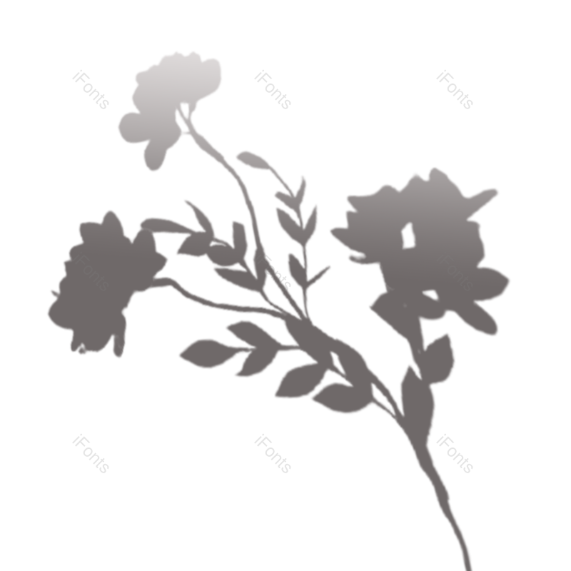 叶子图片,树叶元素,阴影PNG,灰色免抠素材